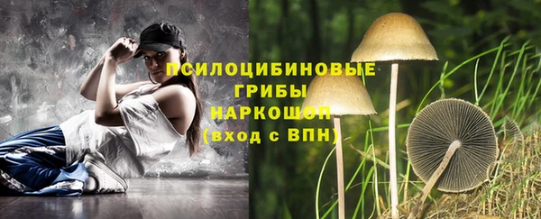 кокс Бородино