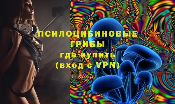 кокс Бородино