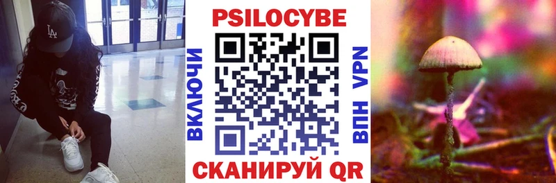 Псилоцибиновые грибы Psilocybe закладка Сочи